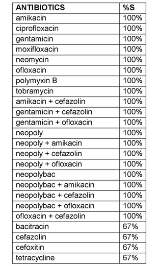 Staphylococcus caprae